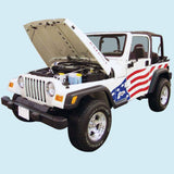 Decal And Stripe Kit, Red & Blue, 2002 Jeep Wrangler TJ Patriot Series - FREE lower 48 ground shipping in approx. 1-2 weeks